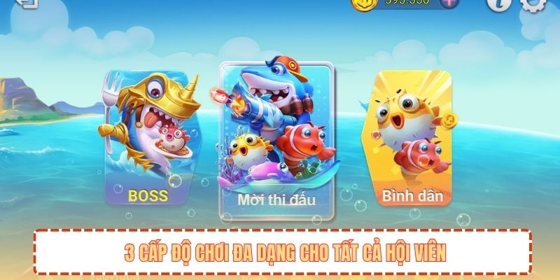 3 cấp độ chơi đa dạng cho tất cả hội viên
